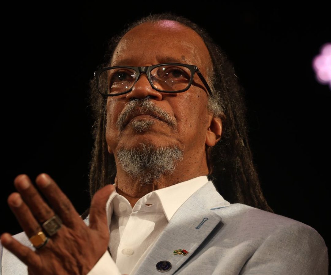 Palmares fala em avanços, mas alerta para racismo sistêmico no país| Agência Brasil