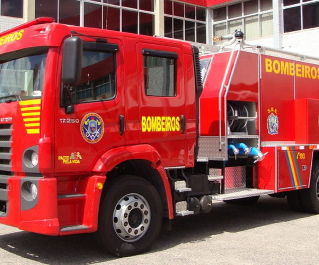 Bombeiros agem rápido em incêndio e salvam 2 cachorros em Serra Talhada