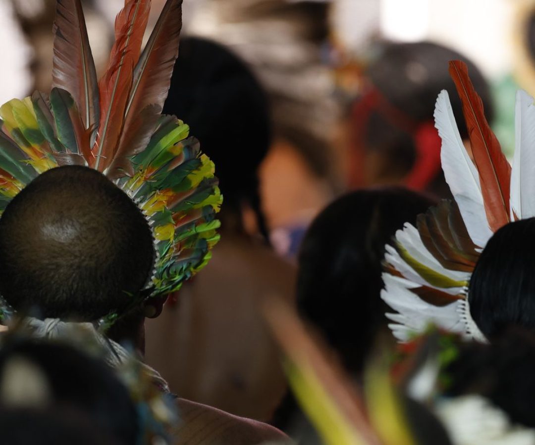 Demarcar terras dá segurança a quem protege o meio ambiente, diz MJ