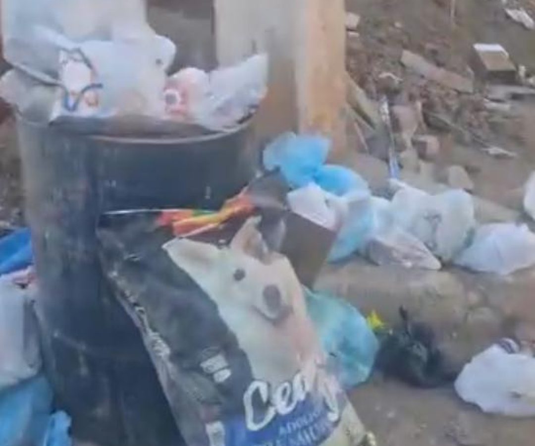 Leitor reclama de calçadas tomadas por lixo e obras no bairro AABB