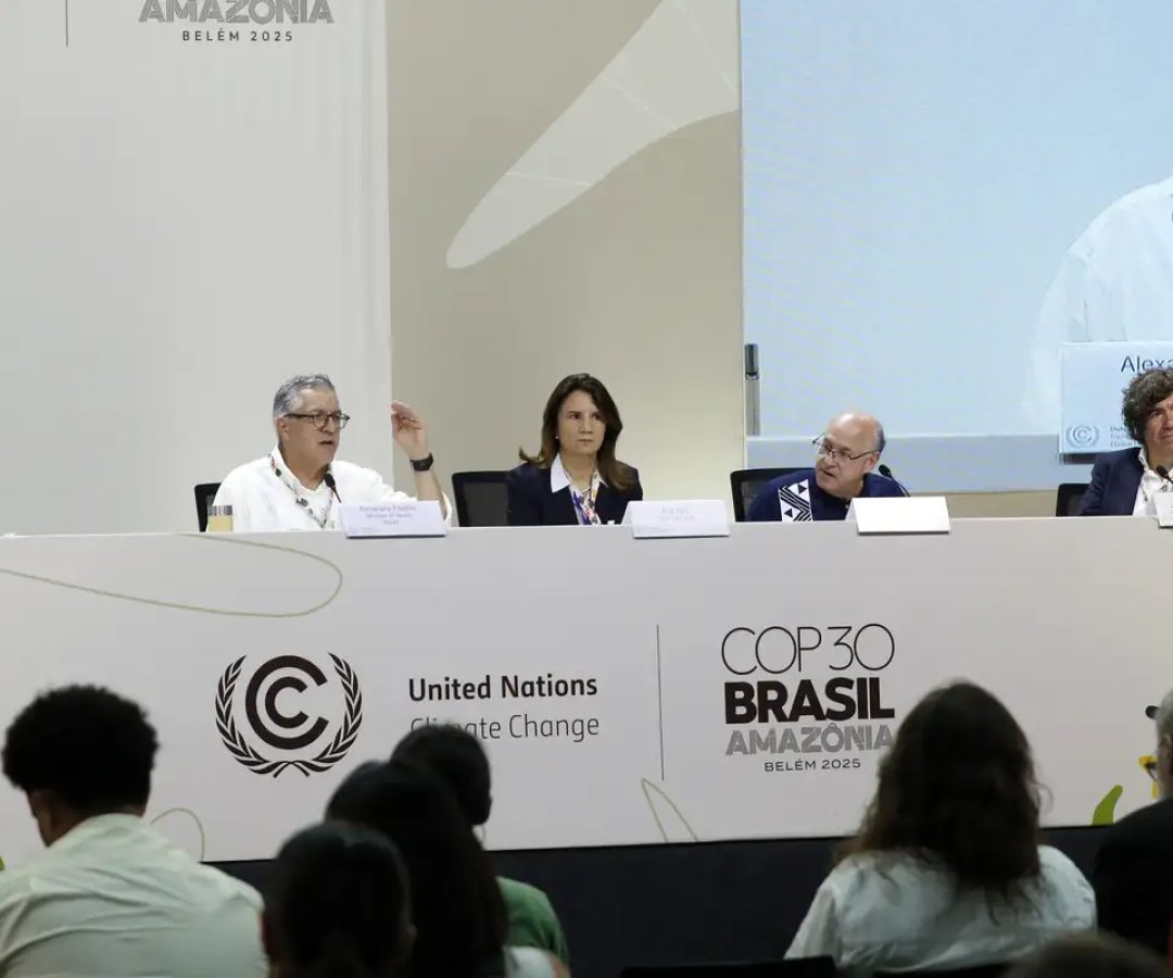 Brasil recebe doação de US$ 300 milhões para plano de saúde climática