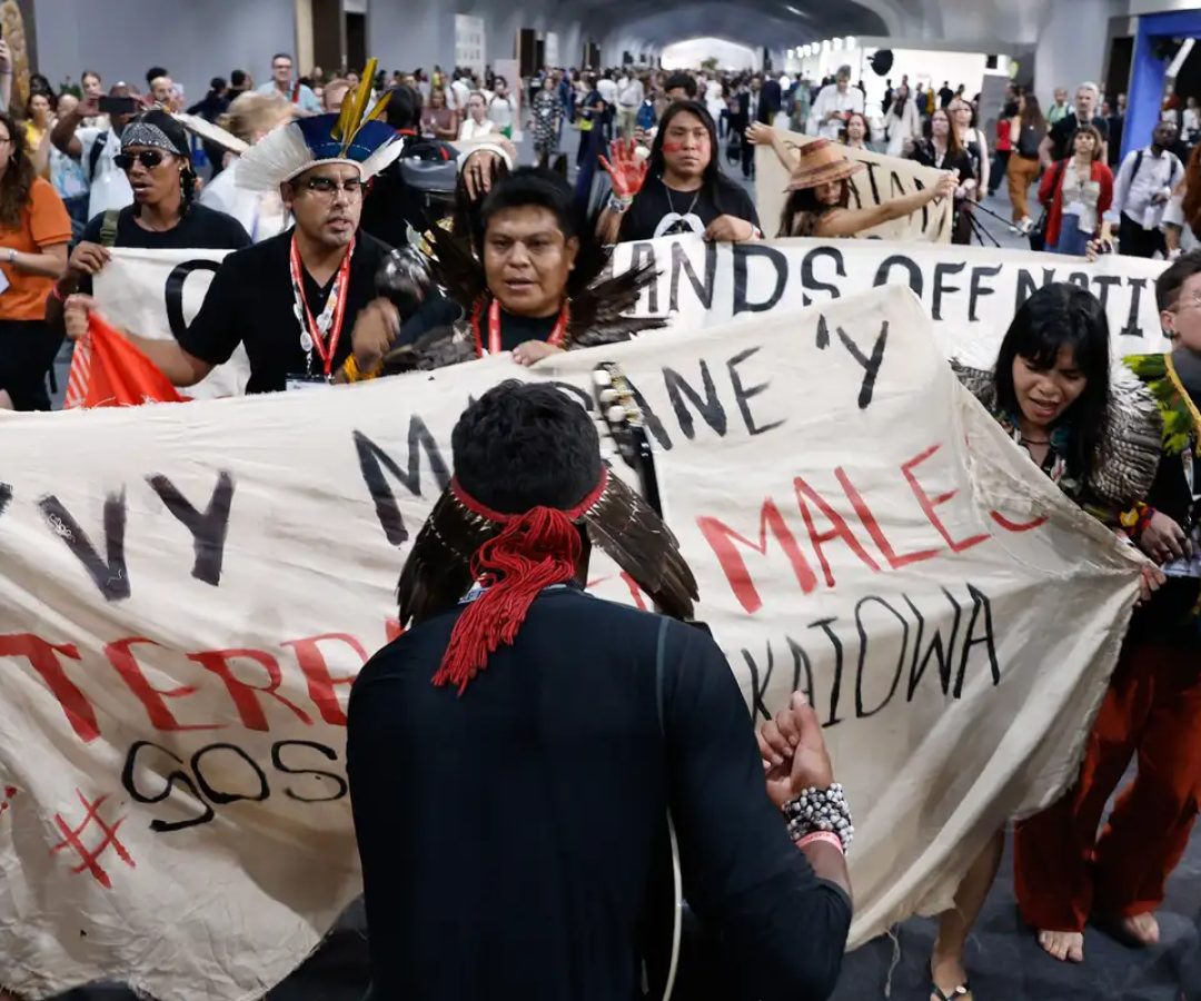 Demarcação de terras e maior participação mobilizaram protestos na COP